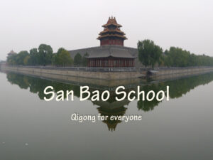 Online Qigong lessons.