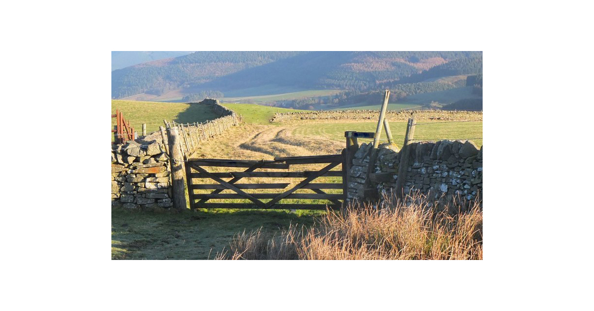 Stop pushing, take time with your Qigong. San Bao Qigong blog.