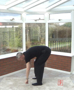 Rowing a Boat in the middle of the lake. Shibashi Qigong. Using the Shu Points in Qigong.