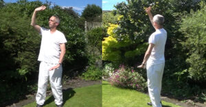 Qigong aide memoire - Harmonizing Stomach and Spleen. one to one Qigong tuition with Des Lawton. San Bao Qigong blog. Ten Fundamental Treasures.