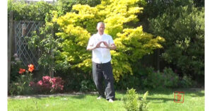 Qigong private tuition. The Five Elements dance. San Bao Qigong blog.