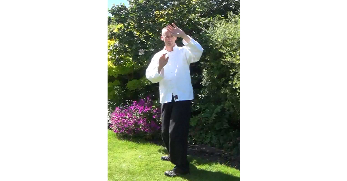 The Five Taoist Yin. Also known as the Five Yin Qigong. Private Qigong tuition. San Bao Qigong blog. Qigong Q&A.