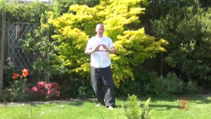 the five elements dance. Five Elements Dance Qigong. Qigong aide memoire.