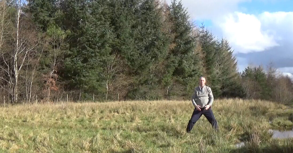 The Five Taoist Yin Qigong. The Five Yin Qigong.