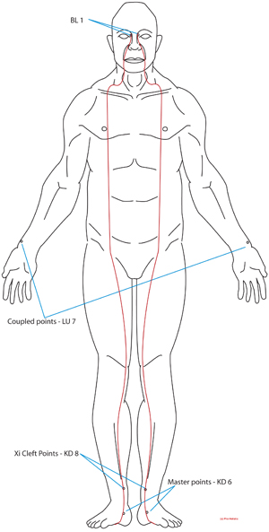 extraordinary meridians qigong. extraordinary meridians. Exceptional Vessels Qigong.