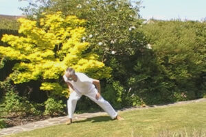 Ten Fundamental Treasures Qigong.