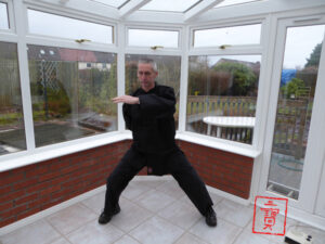 Kidney, from the Five Taoist Yin Qigong. Using Shu Points in Qigong