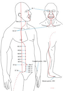 The Exceptional Vessels Qigong Instructor Course