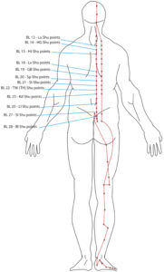 using Shu Points in Qigong.