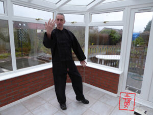 Qigong Aide Memoire. The Embroidered Brocade Qigong.