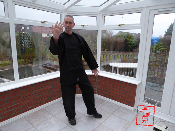 Qigong Aide Memoire. The Embroidered Brocade Qigong. Private qigong tuition. San Bao Qigong blog. Course feedback.