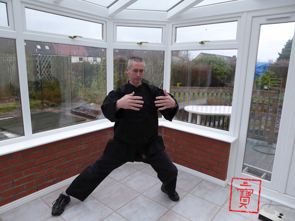 Qigong Aide Memoire. The Embroidered Brocade Qigong.