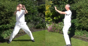 The Four Shen Exercises. The Four Shen Qigong course.