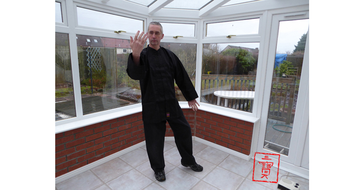 Private qigong tuition. The Embroidered Brocade. San Bao Qigong blog. Course feedback. Qigong Aide Memoire.