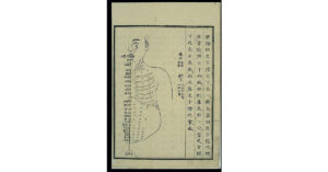 Information about the exceptional Vessels. Information about the Extraordinary Meridians Qigong. San Bao Qigong blog.