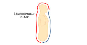 The Microcosmic Orbit Qigong