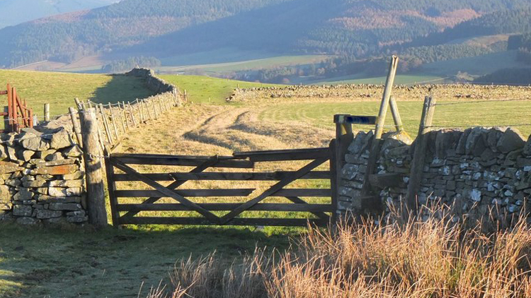 stop pushing, this gate opens inwards
