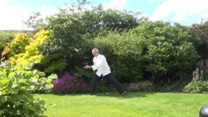 Faux qigong - Are you practicing it?