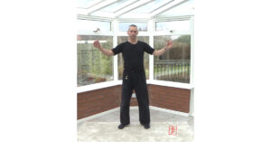Qigong for beginners. Qigong course. Qigong courses.