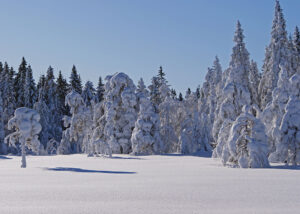 Seasonal Qigong using the Five Elements - Winter.